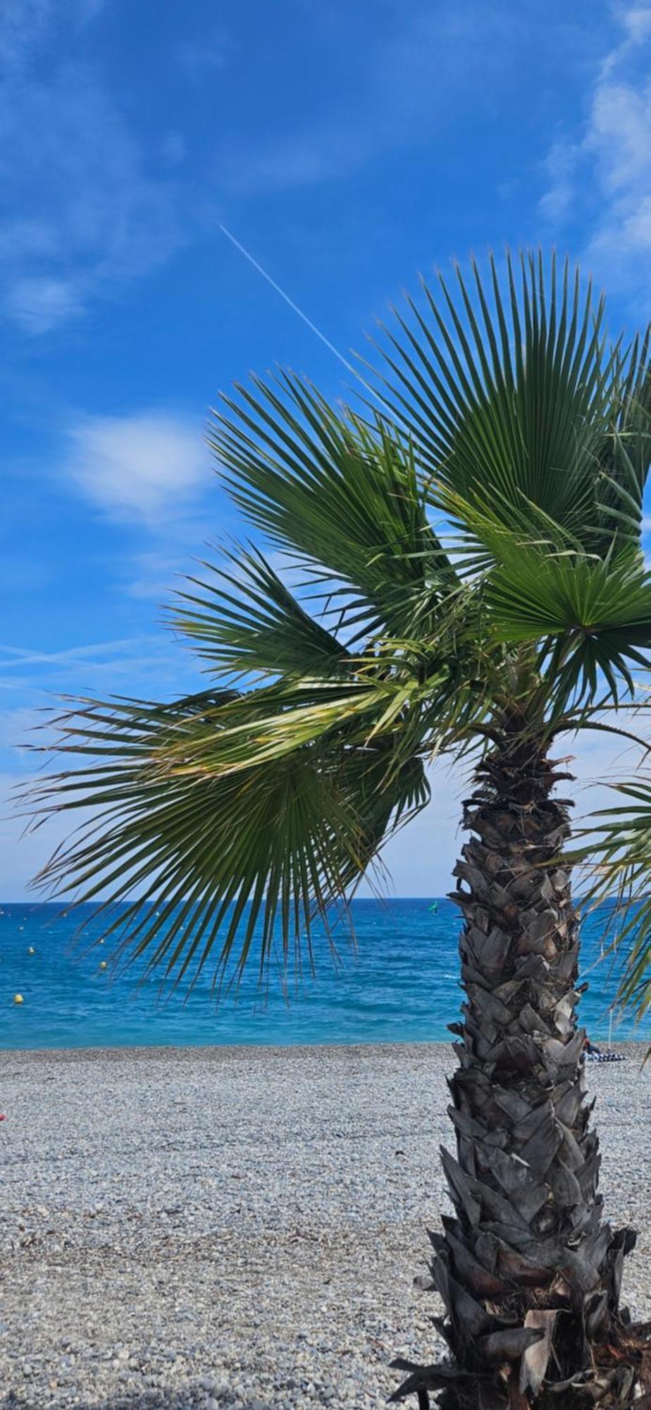 Studio Saint-Laurent-Du-Var Bord De Mer Exteriér fotografie